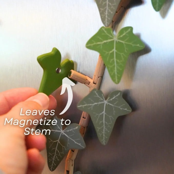 Avtoit | 3D Printed Ivy Refrigerator Magnet — Realistic Plant Decoration with Strong Adhesion