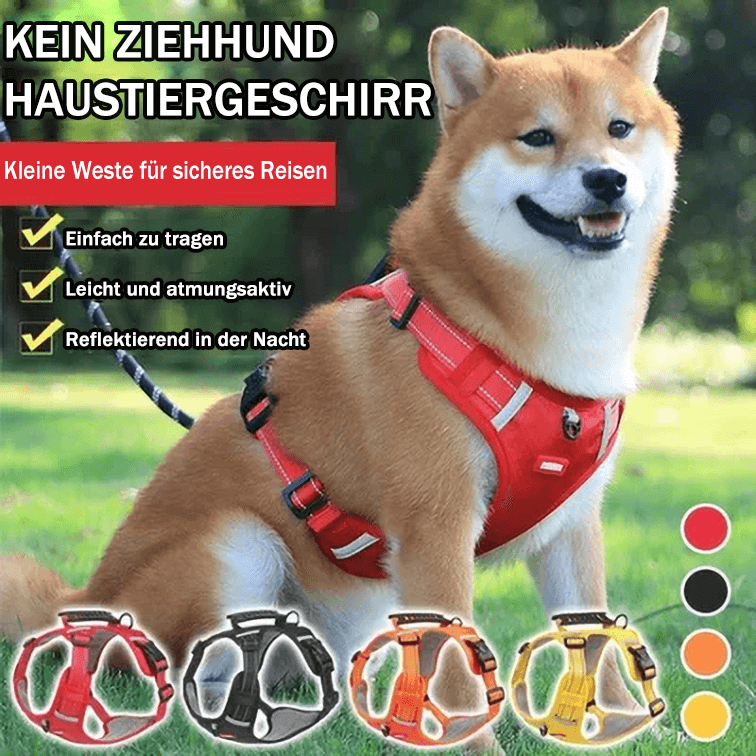 Avtoit | No Pull Dog Harness for Pets