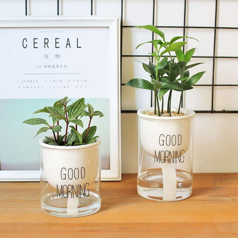 Avtoit | Self-watering Hydro-Flower Pot