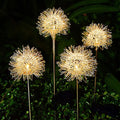 Avtoit | 2-Pack: Outdoor Solar Dandelion Garden Lights