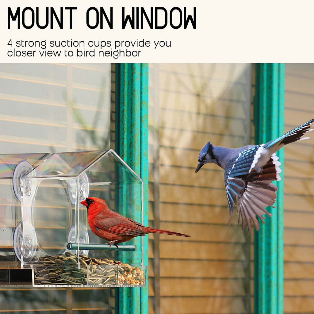 Avtoit | Bird feeder in the window for outdoor use