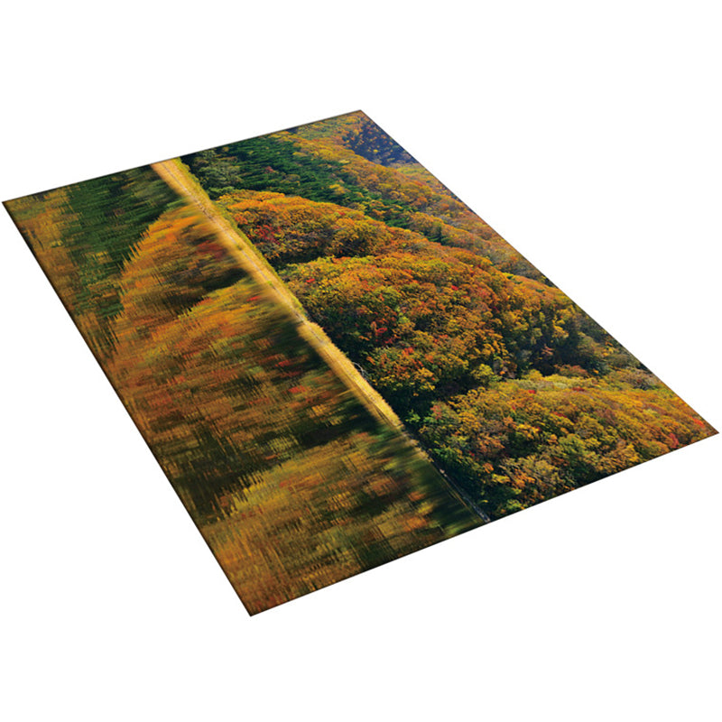 Avtoit | Multi-Color Modern Rug Polyester Digital Graphic Living Room Rug Non-Slip Back Pet-Friendly Washable Rug for Guest Room