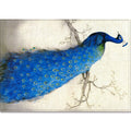 Avtoit | Modern Children's Room Rug Multi-Color Animal Area Rug Polyester Pet-Friendly Non-Slip Washable Rug