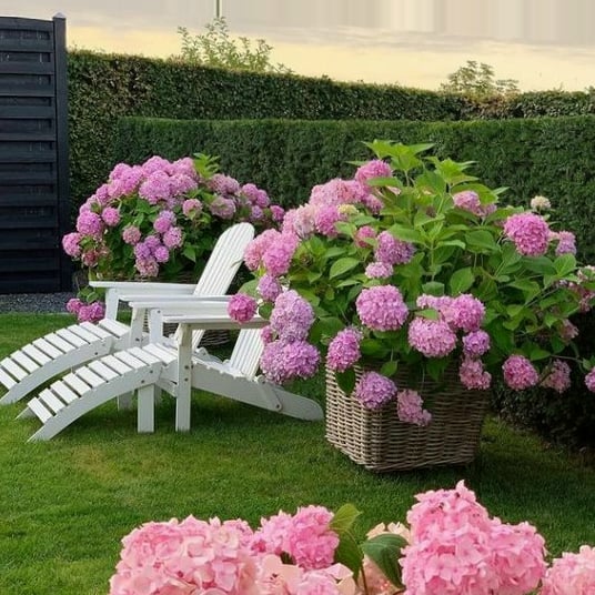 Avtoit | Outdoor Artificial Hydrangea Flowers