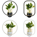 Avtoit | Ring-shaped Wall Lamp Nordic Acrylic Nightstand LED Wall Lamp with Glass Plant Holder