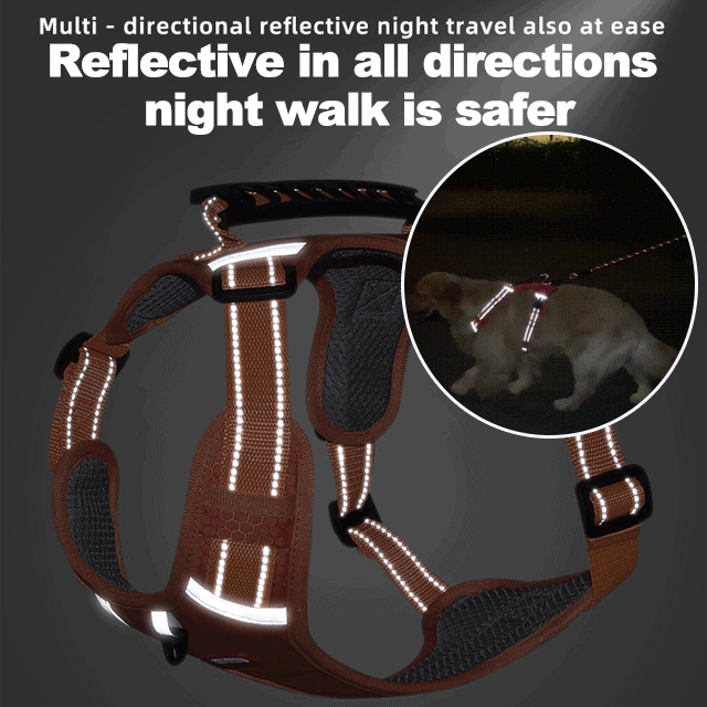 Avtoit | No Pull Dog Harness for Pets