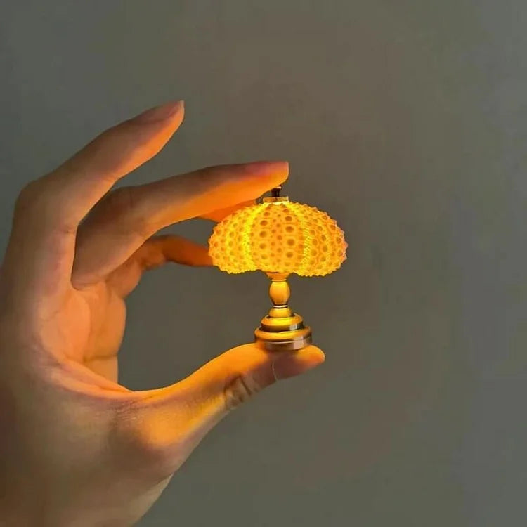 Avtoit | LumiCraft – Unique DIY table lamp with natural sea shell for a cozy décor