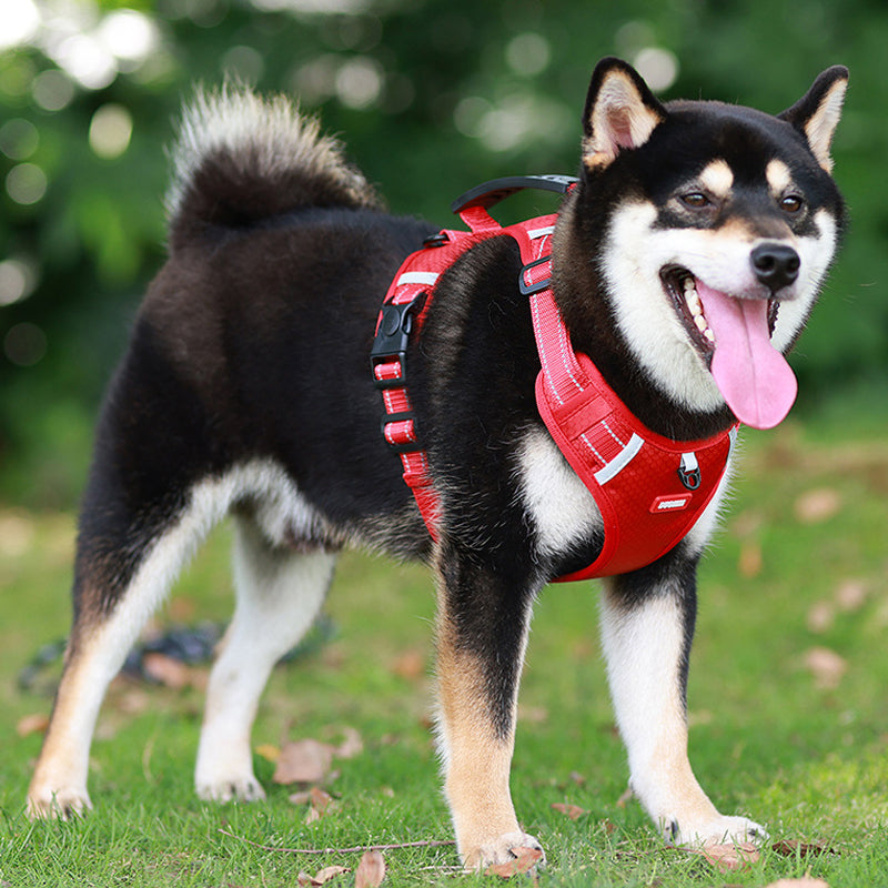 Avtoit | Reflective Dog Harness