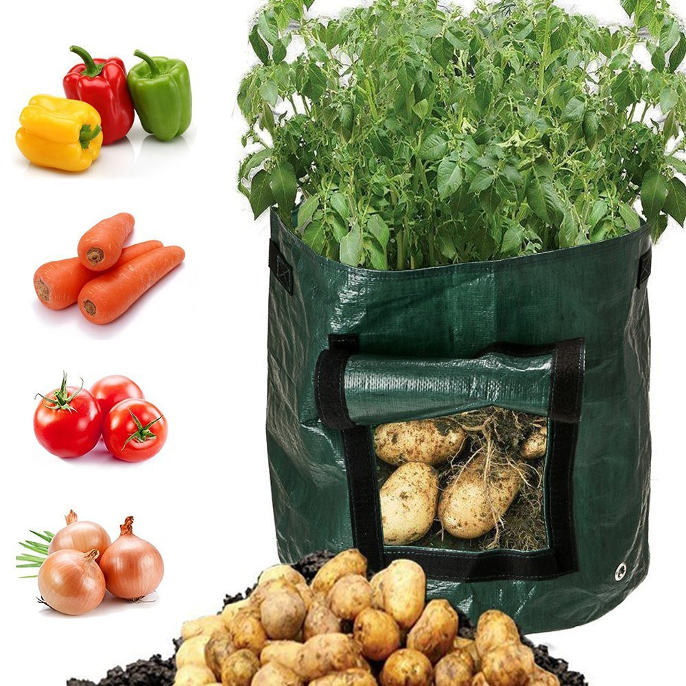 Avtoit | Planting bag for potatoes – Reusable and with viewing window