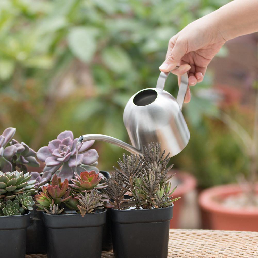 Avtoit | Stainless Steel Watering Can with Flexible Neck | Modern Design | Perfect Watering | Rustproof