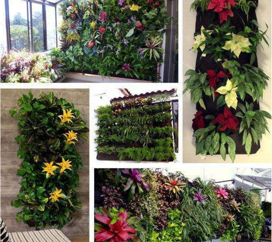 Avtoit | Plant wall bags for garden – Vertical planter for indoors and outdoors