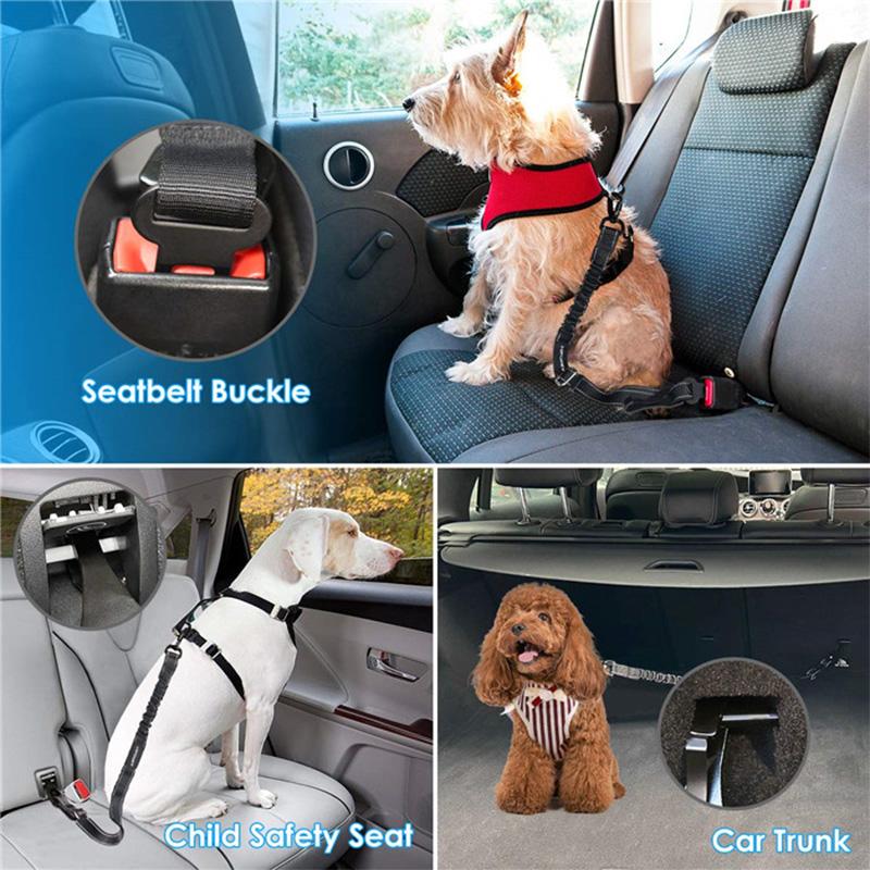 Avtoit | Adjustable Safety Belts for Dogs