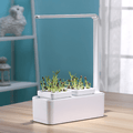 Avtoit | Hydroponic Systems with Led Plant Grow Light, Intelligent Watering, Water Shortage Reminder and Timer Switch (with US Standard Plug, 110v~220v)