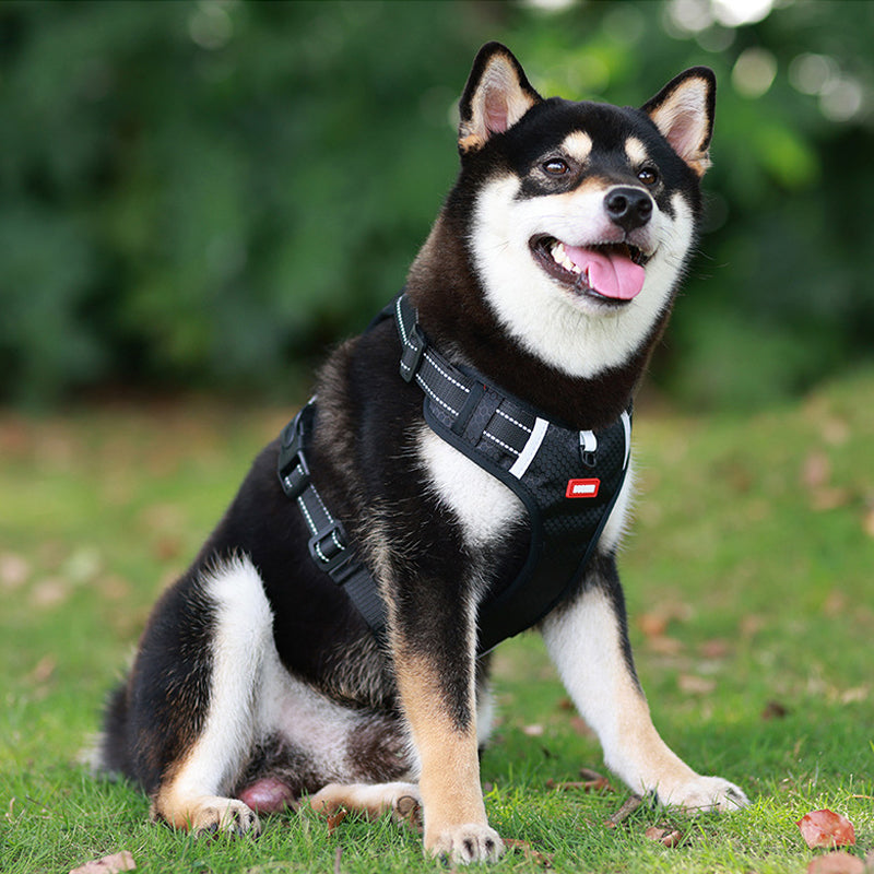 Avtoit | Reflective Dog Harness