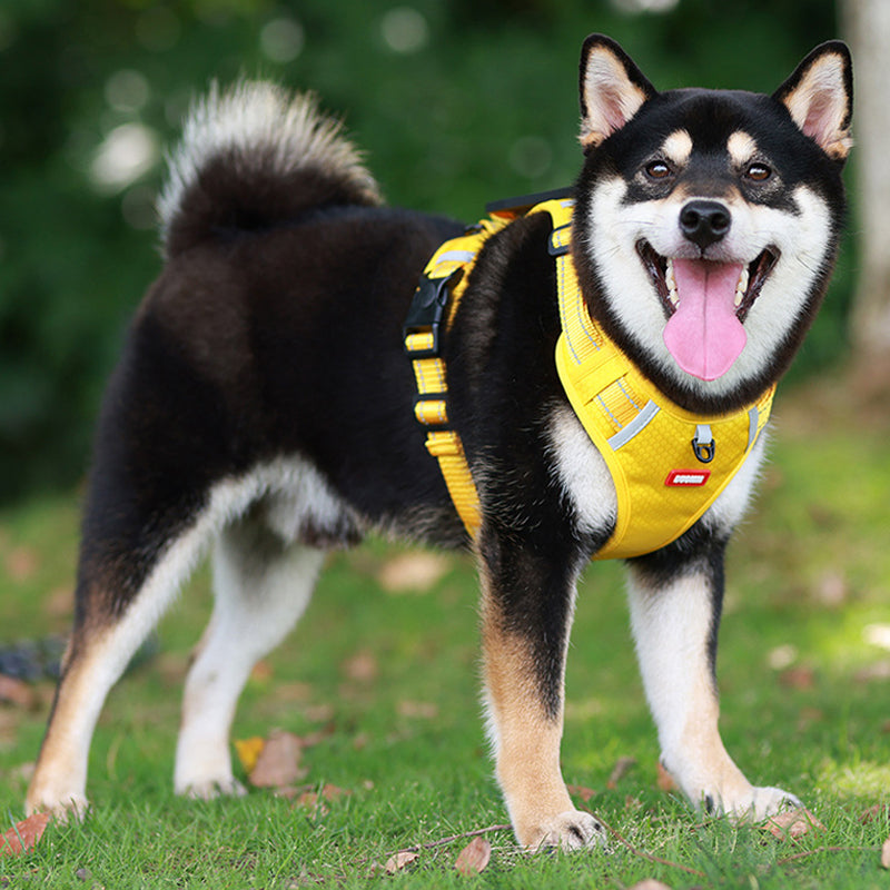 Avtoit | Reflective Dog Harness