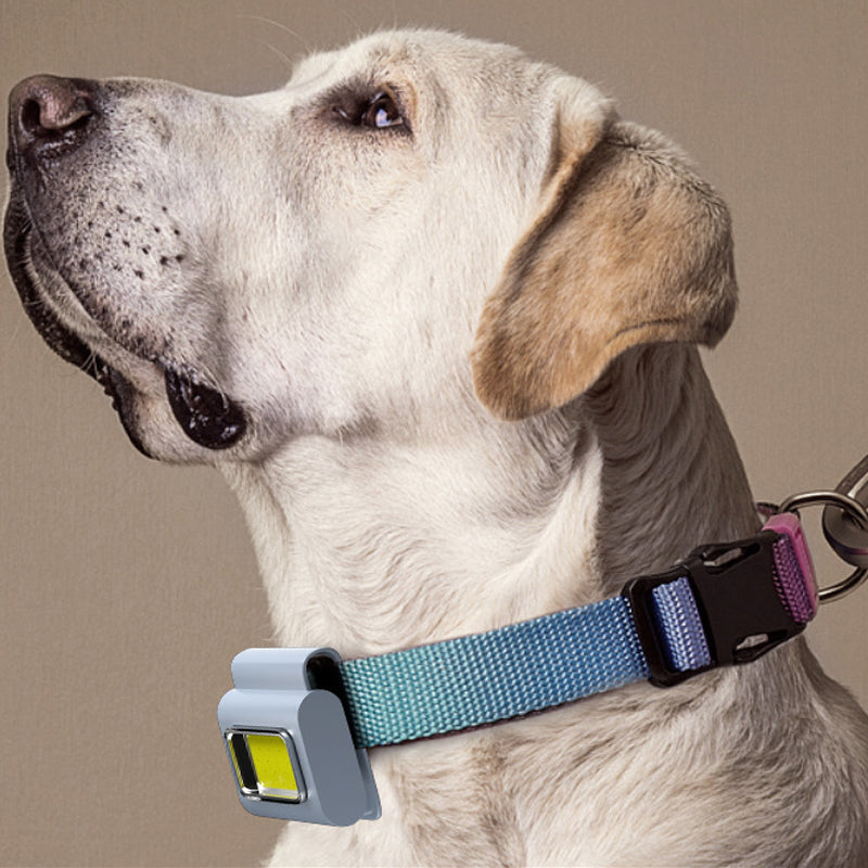 Avtoit | Magnetic Cob Work Light
