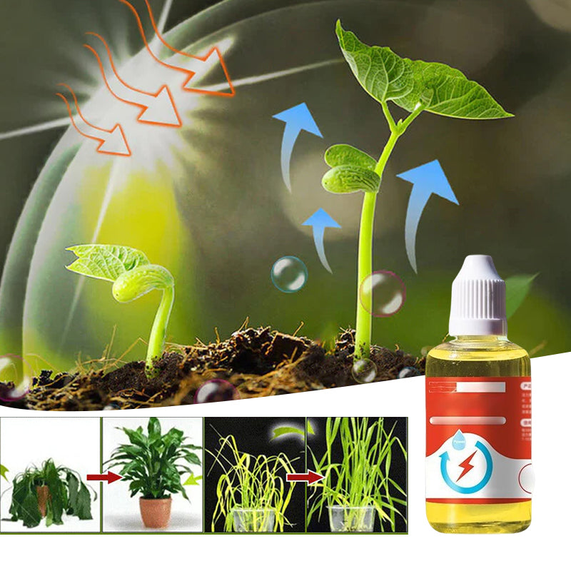 Avtoit | Plant Growth Enhancer Supplement