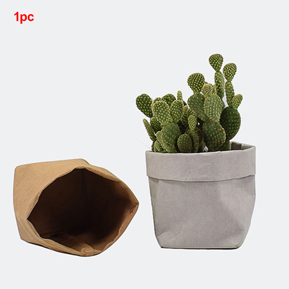 Avtoit | Stylish plant pots made of paper for modern decoration