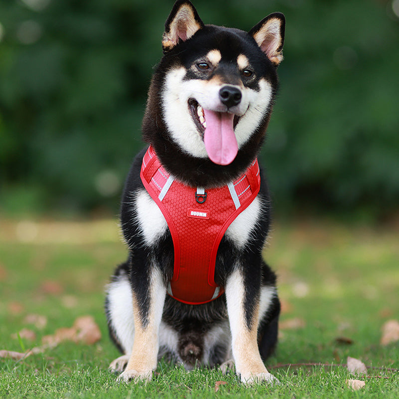 Avtoit | Reflective Dog Harness