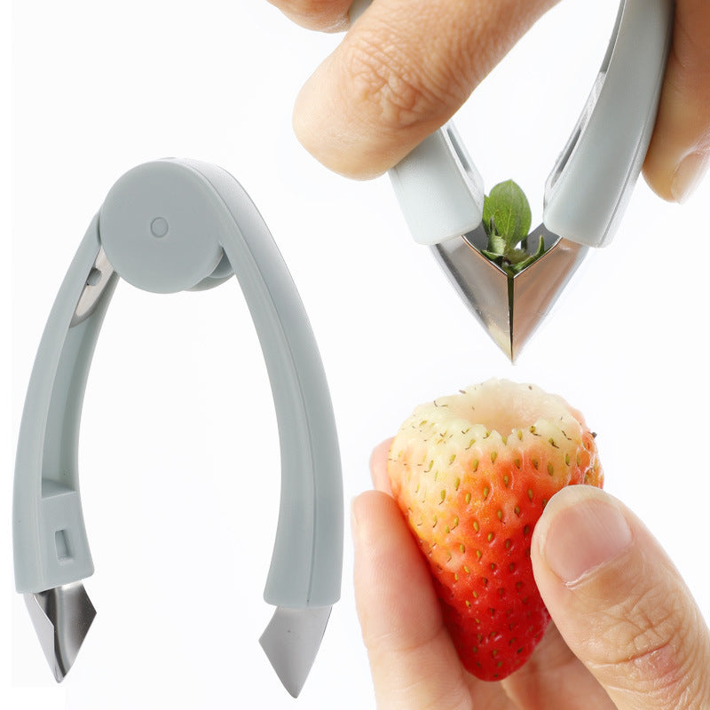 Avtoit | Multifunctional Seed Remover Clip Fruit Tweezers