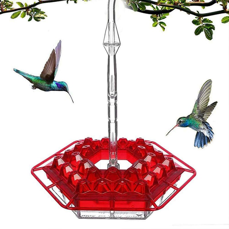 Avtoit | New Hummingbird Feeder