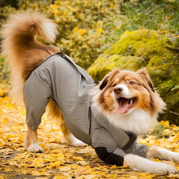 Avtoit | Waterproof Dog Coat with Legs – Reflective Dog Rain Jacket for Small & Large Breeds | Best Rain Coat for Dogs UK