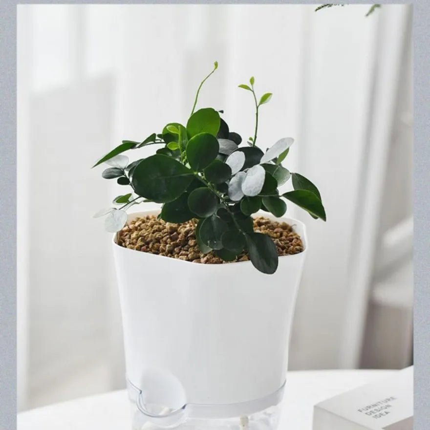 Avtoit | Plant pot with water reservoir – Self-watering flower pot for houseplants