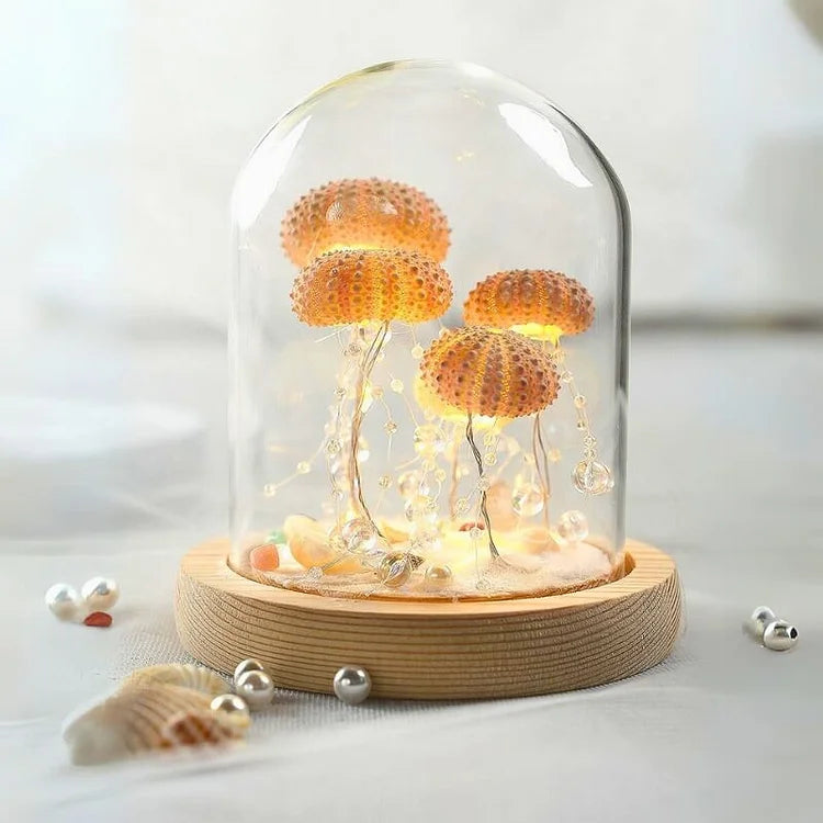 Avtoit | LumiCraft – Unique DIY table lamp with natural sea shell for a cozy décor