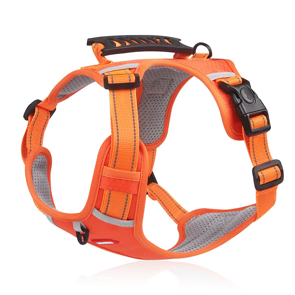 Avtoit | No Pull Dog Harness for Pets