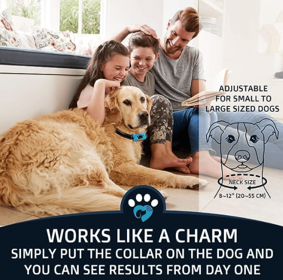 Avtoit | Anti-Bark Collar