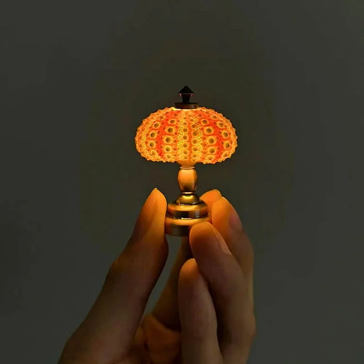 Avtoit | LumiCraft – Unique DIY table lamp with natural sea shell for a cozy décor