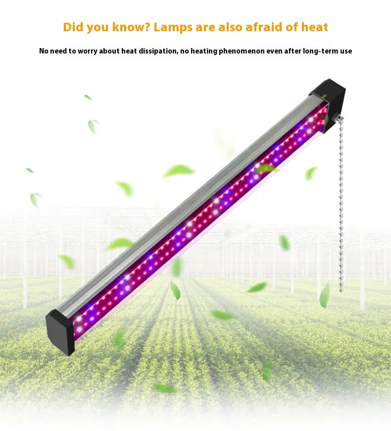 Avtoit | LED plant lamp with full spectrum lighting and pull switch for optimal plant growth