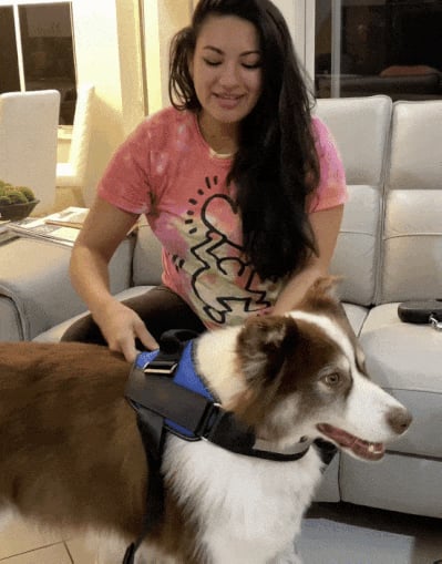 Avtoit | Anti Choke Dog Harness