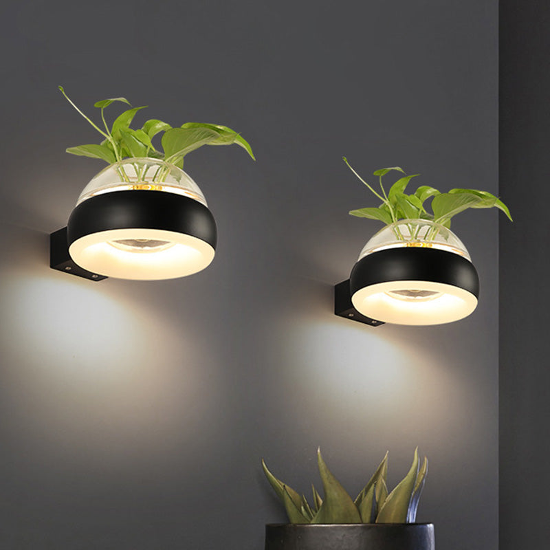 Avtoit | Clear Glass Dome Wall Lighting Industry 1 Bulb Bedroom LED Wall Light Lamp in Black/Grey/White with Plant Holder