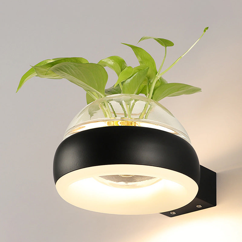 Avtoit | Clear Glass Dome Wall Lighting Industry 1 Bulb Bedroom LED Wall Light Lamp in Black/Grey/White with Plant Holder
