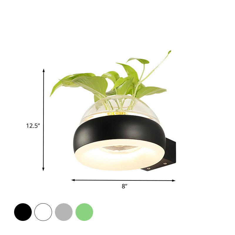 Avtoit | Clear Glass Dome Wall Lighting Industry 1 Bulb Bedroom LED Wall Light Lamp in Black/Grey/White with Plant Holder