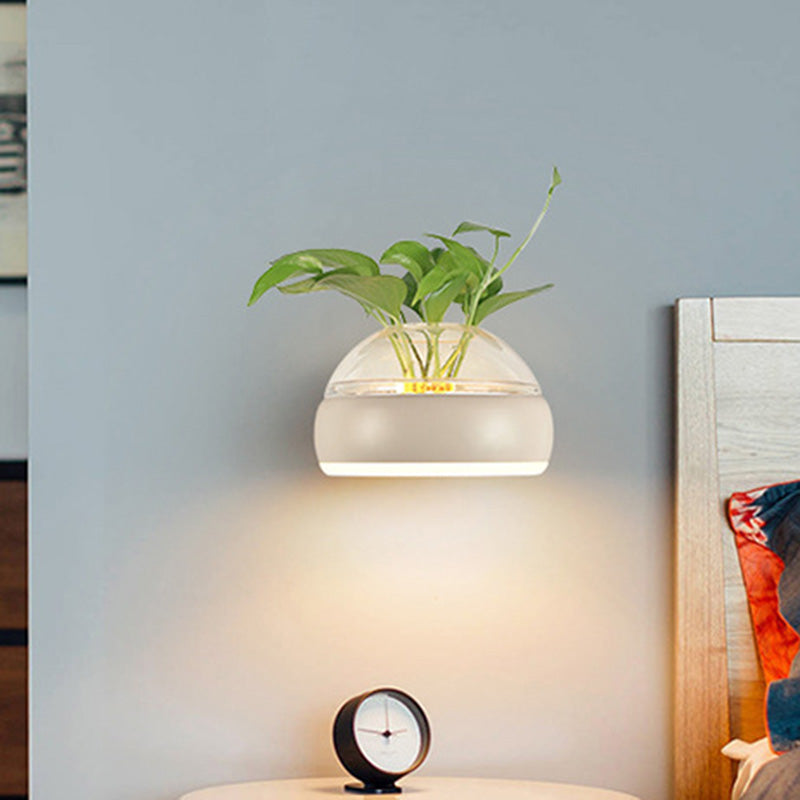 Avtoit | Clear Glass Dome Wall Lighting Industry 1 Bulb Bedroom LED Wall Light Lamp in Black/Grey/White with Plant Holder