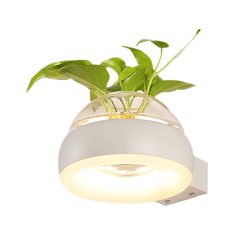 Avtoit | Clear Glass Dome Wall Lighting Industry 1 Bulb Bedroom LED Wall Light Lamp in Black/Grey/White with Plant Holder