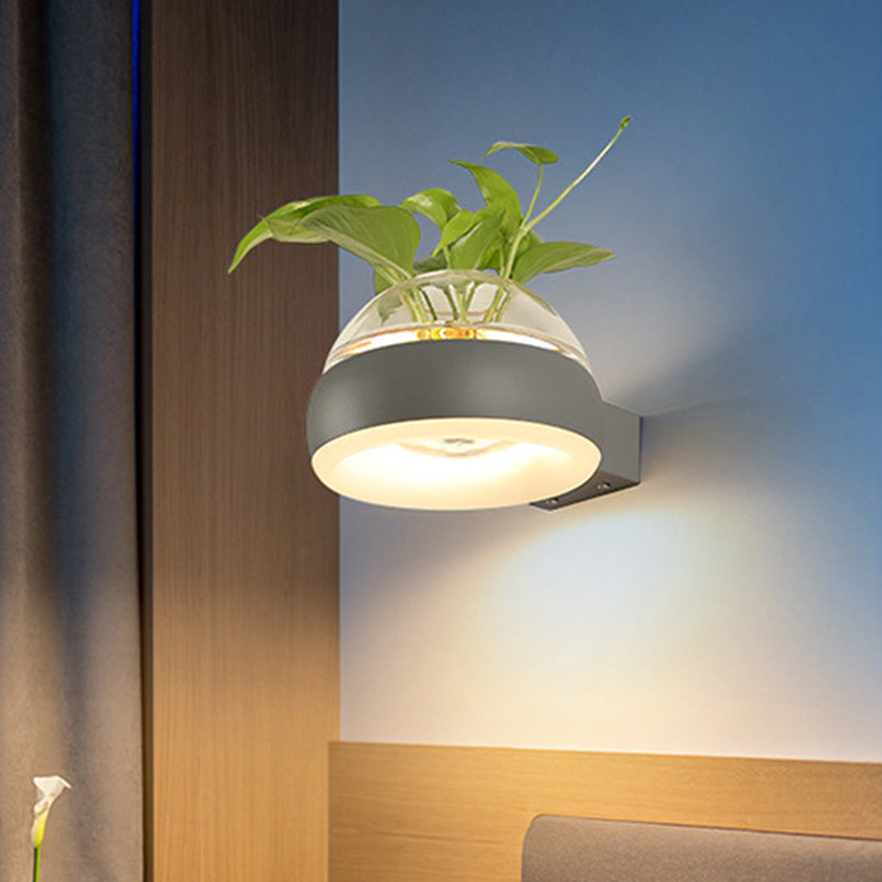 Avtoit | Clear Glass Dome Wall Lighting Industry 1 Bulb Bedroom LED Wall Light Lamp in Black/Grey/White with Plant Holder