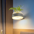 Avtoit | Clear Glass Dome Wall Lighting Industry 1 Bulb Bedroom LED Wall Light Lamp in Black/Grey/White with Plant Holder