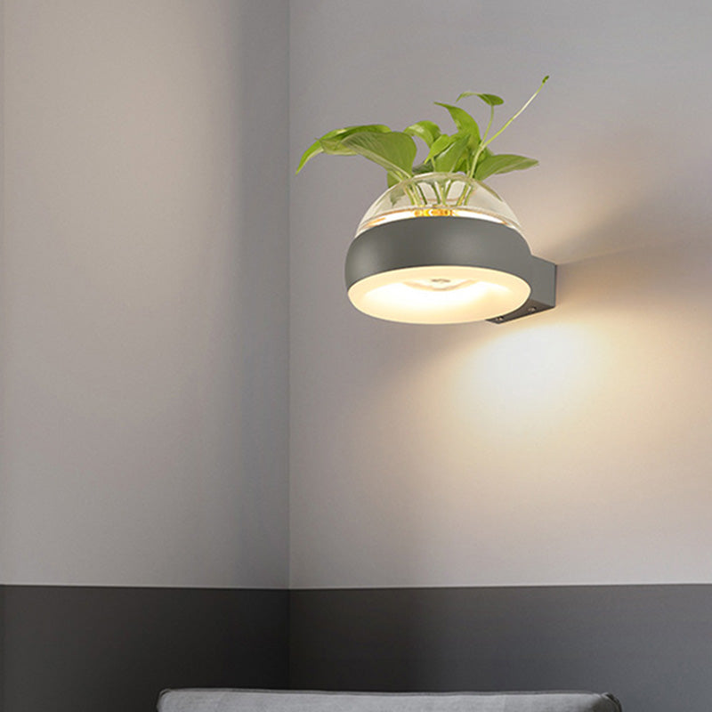 Avtoit | Clear Glass Dome Wall Lighting Industry 1 Bulb Bedroom LED Wall Light Lamp in Black/Grey/White with Plant Holder
