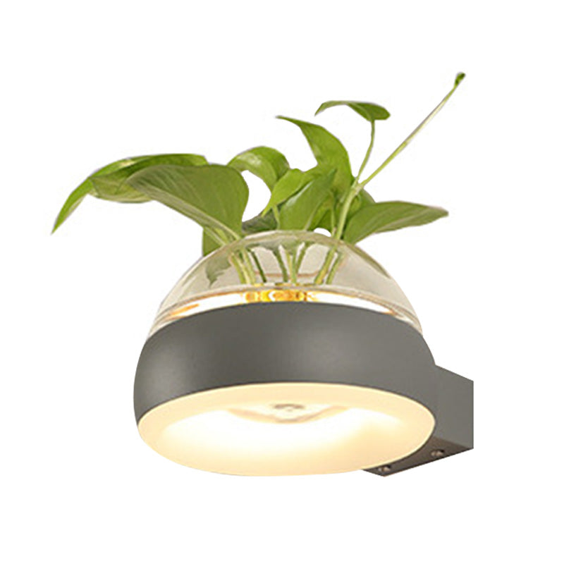 Avtoit | Clear Glass Dome Wall Lighting Industry 1 Bulb Bedroom LED Wall Light Lamp in Black/Grey/White with Plant Holder