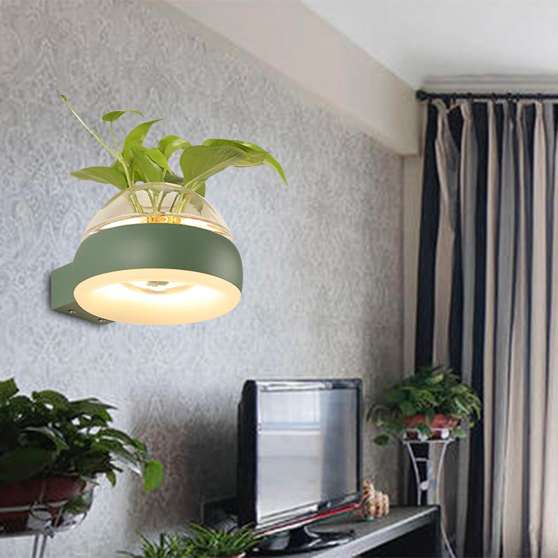 Avtoit | Clear Glass Dome Wall Lighting Industry 1 Bulb Bedroom LED Wall Light Lamp in Black/Grey/White with Plant Holder