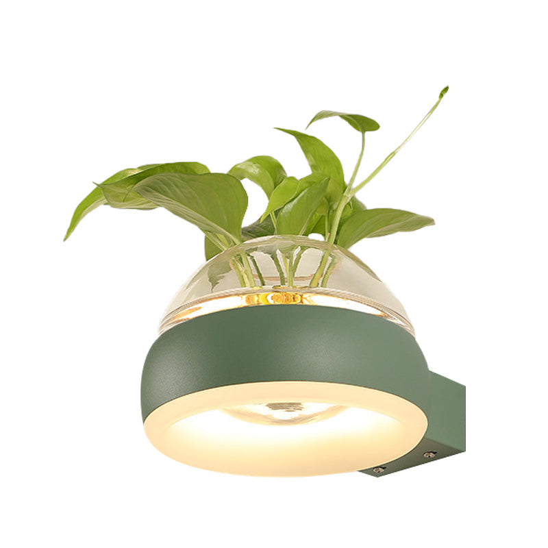 Avtoit | Clear Glass Dome Wall Lighting Industry 1 Bulb Bedroom LED Wall Light Lamp in Black/Grey/White with Plant Holder