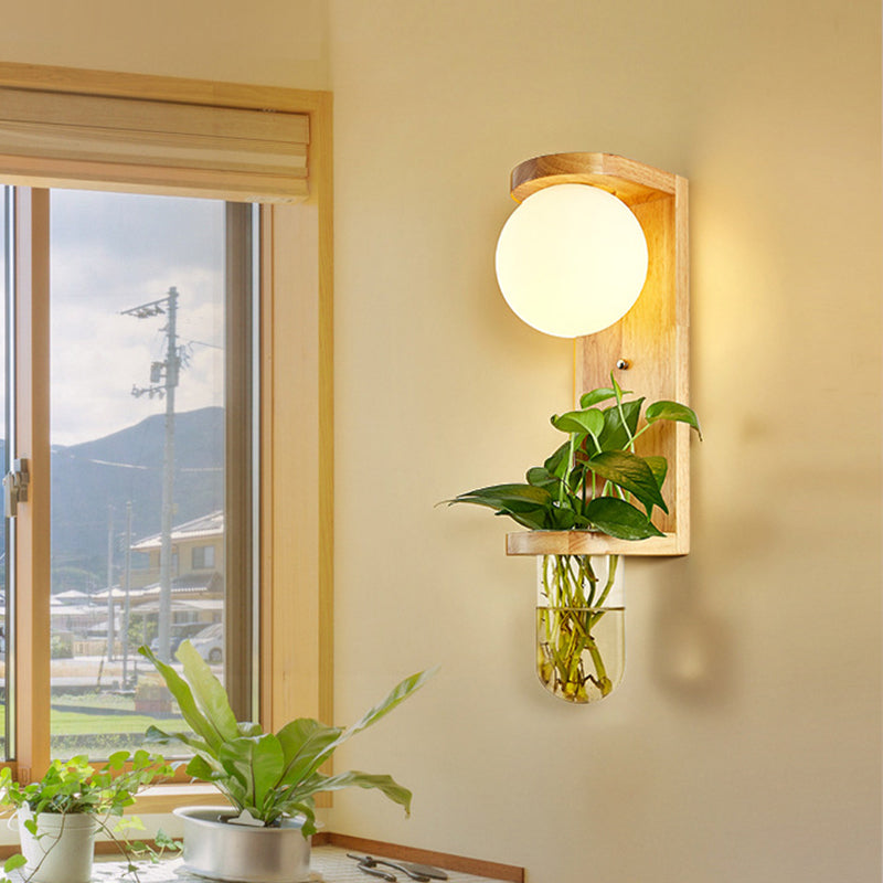 Avtoit | Barrel/Globe Opal Glass Up/Down Light Simple 1 Light Living Room LED Wall Mount Lighting in Wood