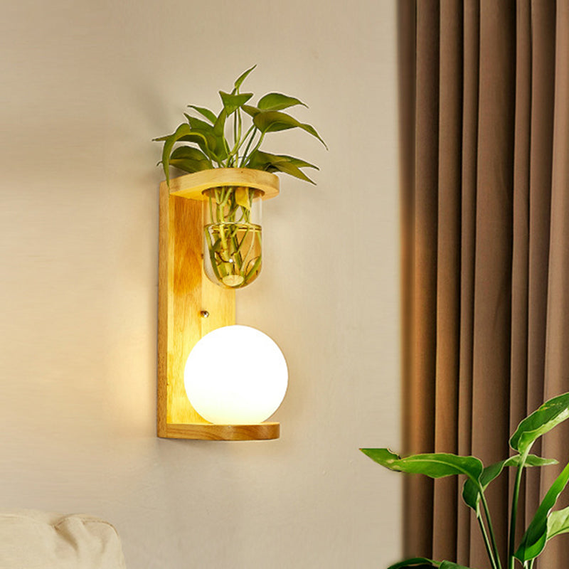 Avtoit | Barrel/Globe Opal Glass Up/Down Light Simple 1 Light Living Room LED Wall Mount Lighting in Wood