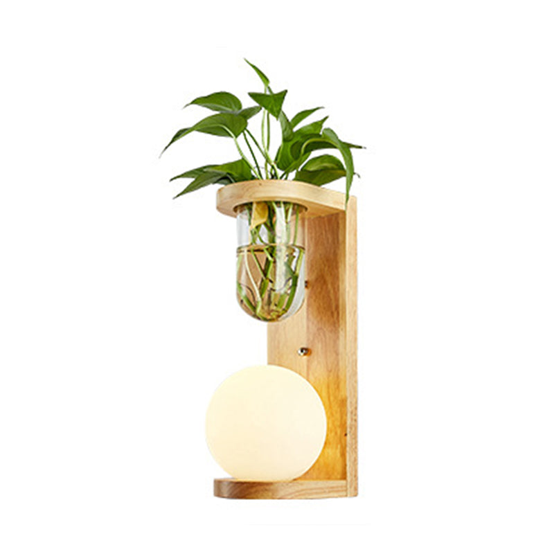Avtoit | Barrel/Globe Opal Glass Up/Down Light Simple 1 Light Living Room LED Wall Mount Lighting in Wood