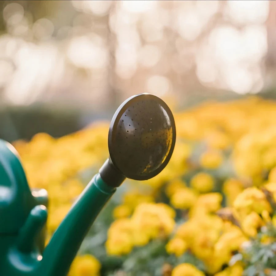 Avtoit | Watering can with large capacity and long spout for precise watering and plant care