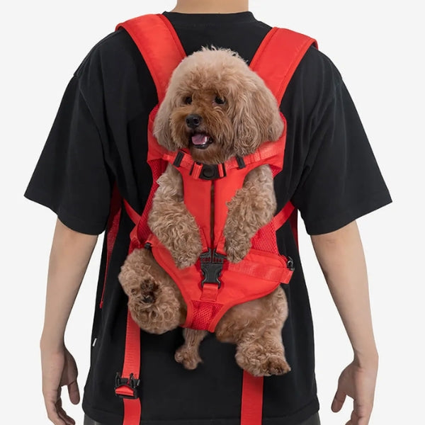 Avtoit | Dog Carrier Backpack | Ideal Canine Rucksack for Walking and Backpacking Adventures