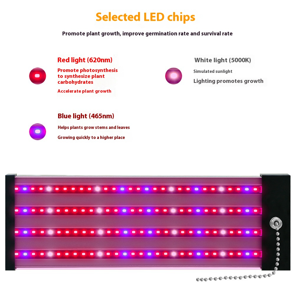 Avtoit | LED plant lamp with full spectrum lighting and pull switch for optimal plant growth